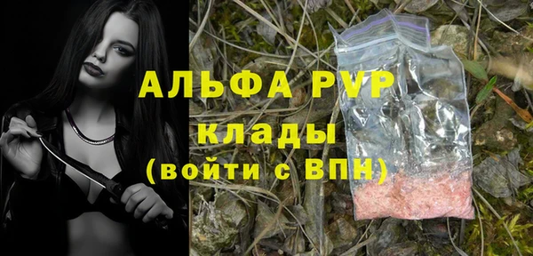 гашик Дедовск