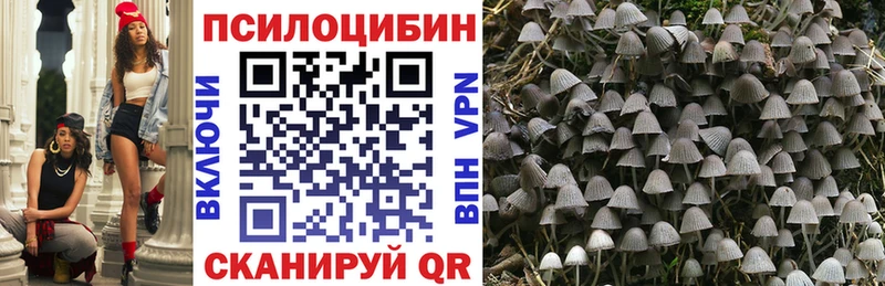 Псилоцибиновые грибы прущие грибы  Вышний Волочёк 